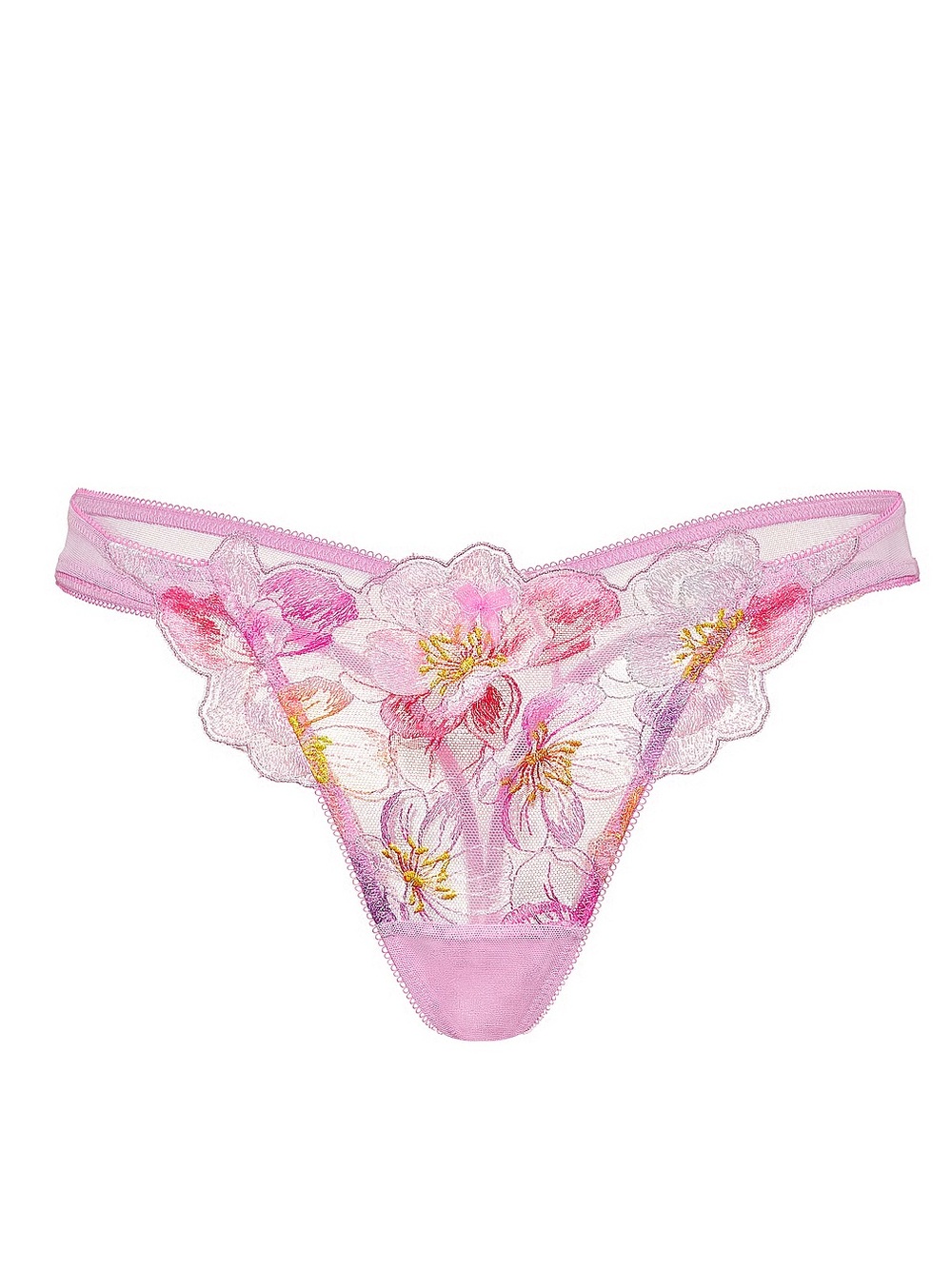 RARE VS watercolor embroidered thong